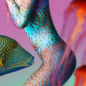 basement_jaxx_500x500